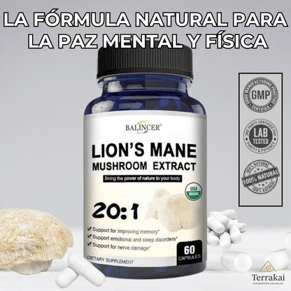 100% HONGO MELENA DE LEÓN - Reduce el estrés y mejora tu sueño - APROVECHA LAS CYBER REBAJAS