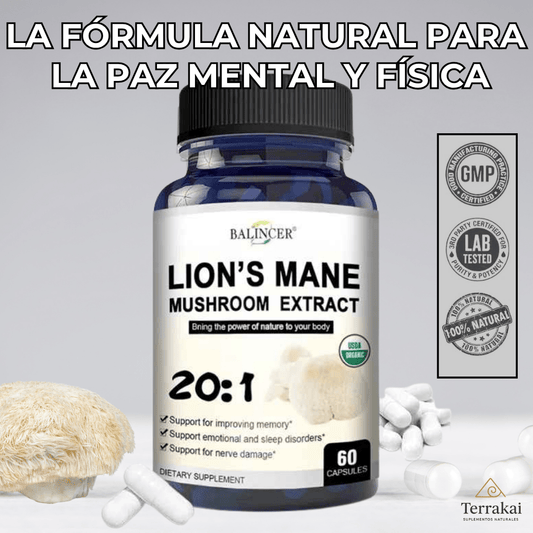 100% HONGO MELENA DE LEÓN - Reduce el estrés y mejora tu sueño - APROVECHA LAS CYBER REBAJAS