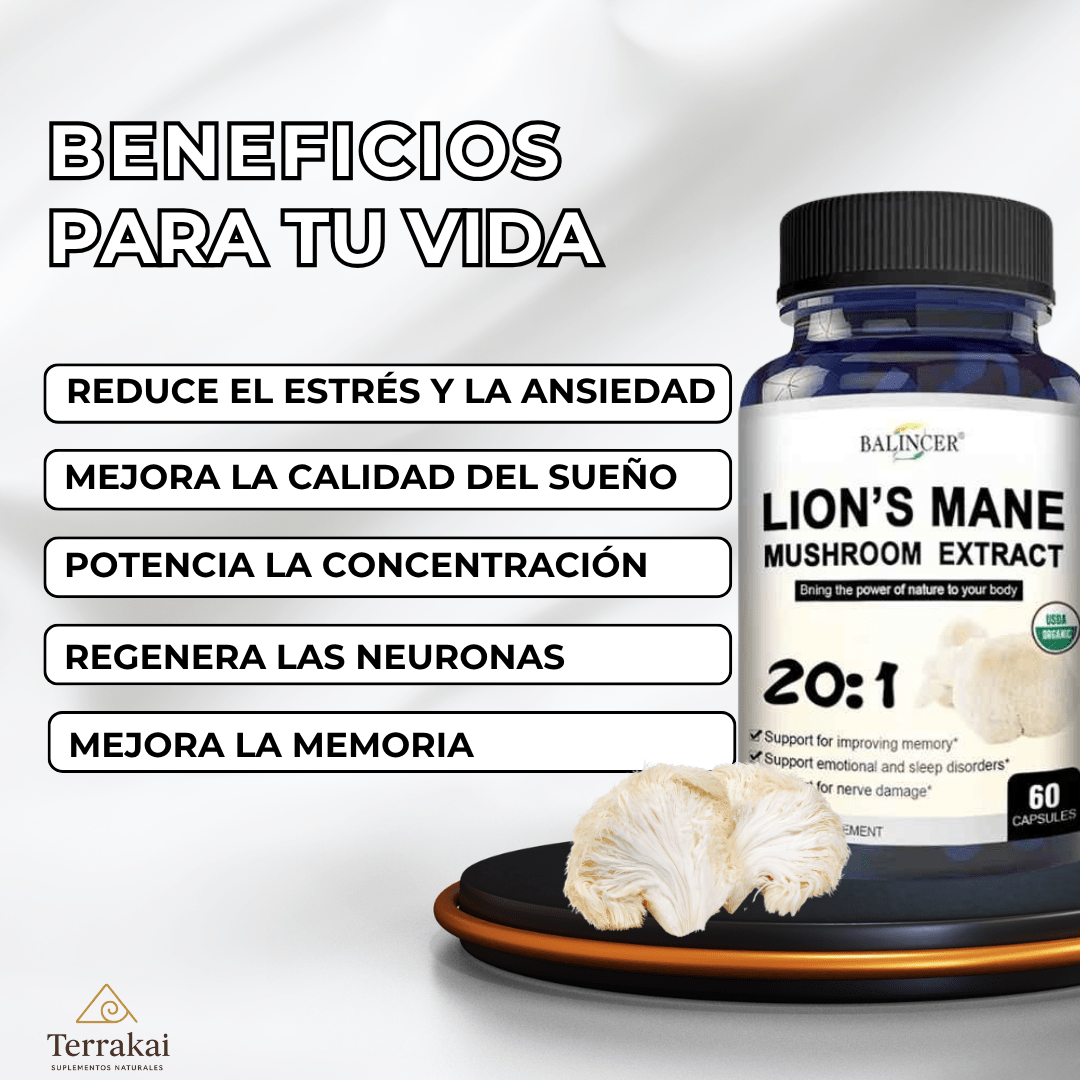 100% HONGO MELENA DE LEÓN - Reduce el estrés y mejora tu sueño - APROVECHA LAS CYBER REBAJAS