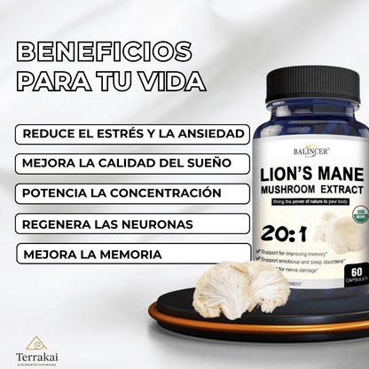 100% HONGO MELENA DE LEÓN - Reduce el estrés y mejora tu sueño - APROVECHA LAS CYBER REBAJAS