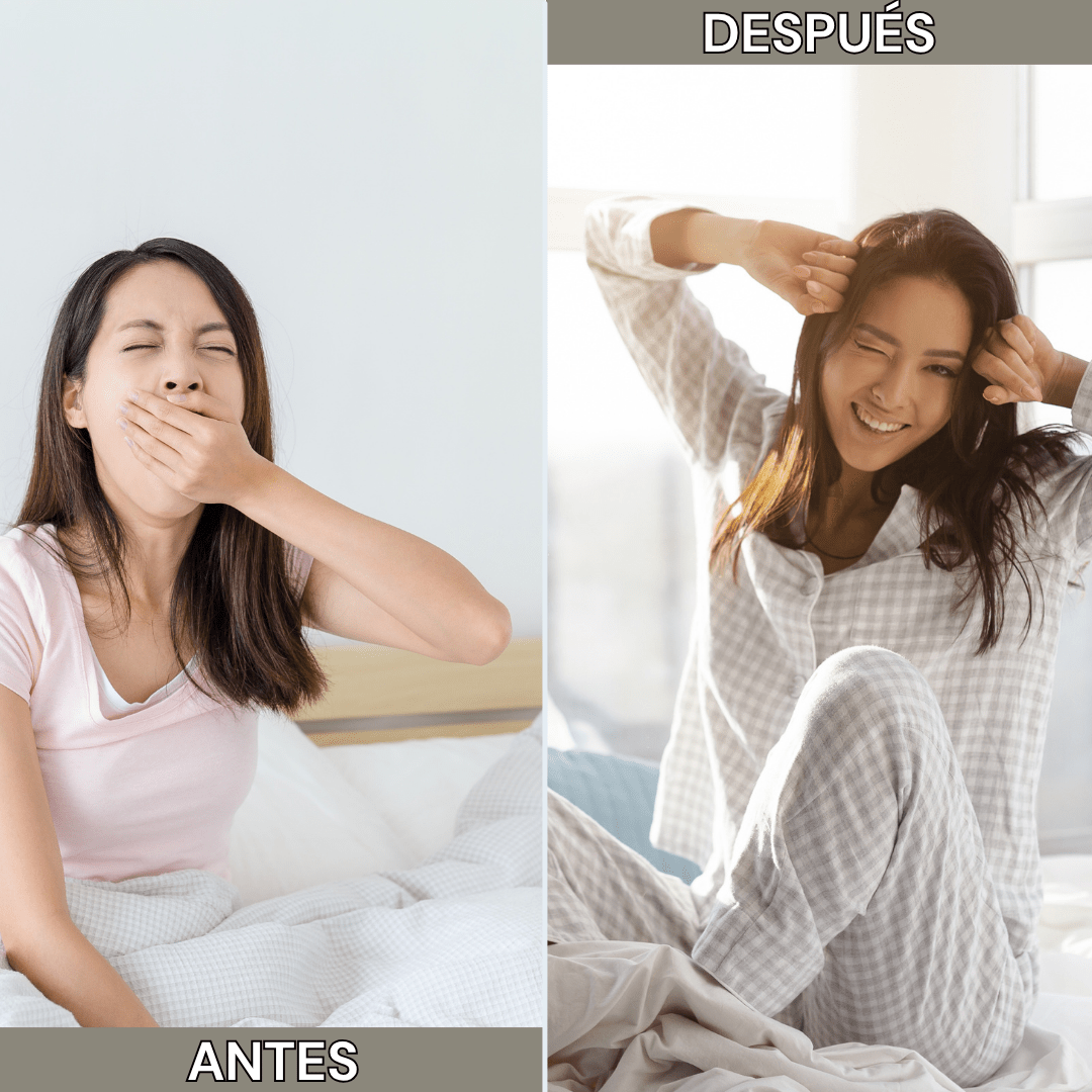 100% HONGO MELENA DE LEÓN - Reduce el estrés y mejora tu sueño - APROVECHA LAS CYBER REBAJAS