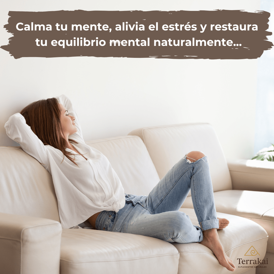 100% HONGO MELENA DE LEÓN - Reduce el estrés y mejora tu sueño - APROVECHA LAS CYBER REBAJAS