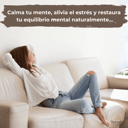 100% HONGO MELENA DE LEÓN - Reduce el estrés y mejora tu sueño - APROVECHA LAS CYBER REBAJAS